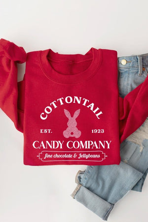 Easter Bunny Glitter Graphic Fleece Sweatshirts