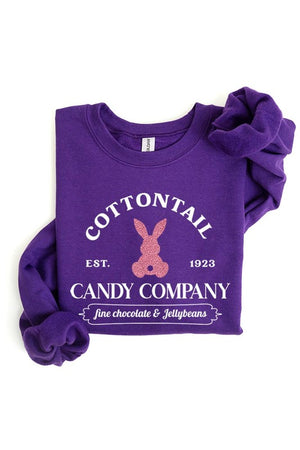 Easter Bunny Glitter Graphic Fleece Sweatshirts