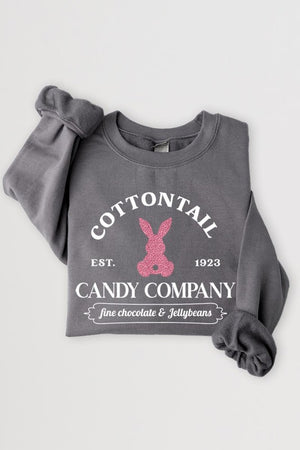 Easter Bunny Glitter Graphic Fleece Sweatshirts